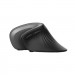 Trust Мишка Trust Verro Ergonomic Wireless Black (23507)