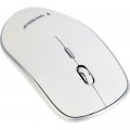 Gembird Мишка Gembird MUSW-4B-01-W White (MUSW-4B-01-W)