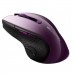 Canyon Мишка Canyon CNS-CMSW01P Wireless Purple/Black (CNS-CMSW01P)