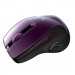 Canyon Мишка Canyon CNS-CMSW01P Wireless Purple/Black (CNS-CMSW01P)