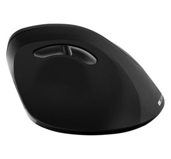 Canyon Мишка Canyon CNS-CMSW16B Wireless Black (CNS-CMSW16B)