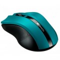Canyon Мишка Canyon MW-5 Wireless Green-Black (CNE-CMSW05G)