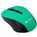 Canyon Мишка Canyon CNE-CMSW1GR Wireless Black-Green (CNE-CMSW1GR)