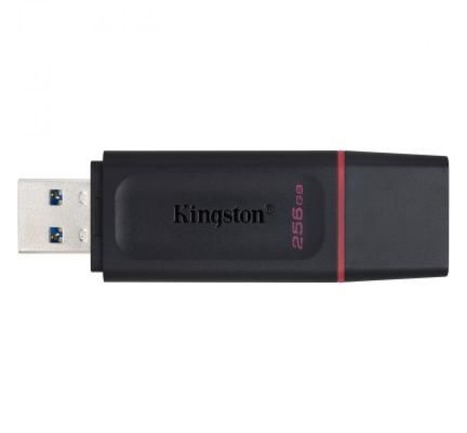 Kingston USB флеш накопичувач Kingston 256GB DataTraveler Exodia Black/Pink USB 3.2 (DTX/256GB)