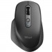 Trust Мишка Trust Ozaa Rechargeable Black (23812)