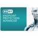 Eset Антивірус Eset PROTECT Advanced з локал. управл. 11 ПК на 1year Business (EPAL_11_1_B)
