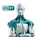 Eset Антивірус Eset PROTECT Entry з локал. управл. 28 ПК на 1year Business (EPENL_28_1_B)