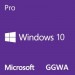 Microsoft Операційна система Microsoft Windows GGWA - Windows 10 Professional Commercial, Perpetual (DG7GMGF0CGSH_0005)