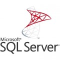 Microsoft ПЗ для сервера Microsoft SQL Server 2022 Standard Core - 2 Core License Pack Commerci (DG7GMGF0M7XW_0002)