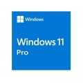 Microsoft Операційна система Microsoft Windows 11 Pro 64Bit Eng Intl 1pk DSP OEI DVD (FQC-10528)