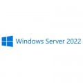 Microsoft ПЗ для сервера Microsoft Windows Server 2022 External Connector Commercial Perpetual (DG7GMGF0D515_0001)