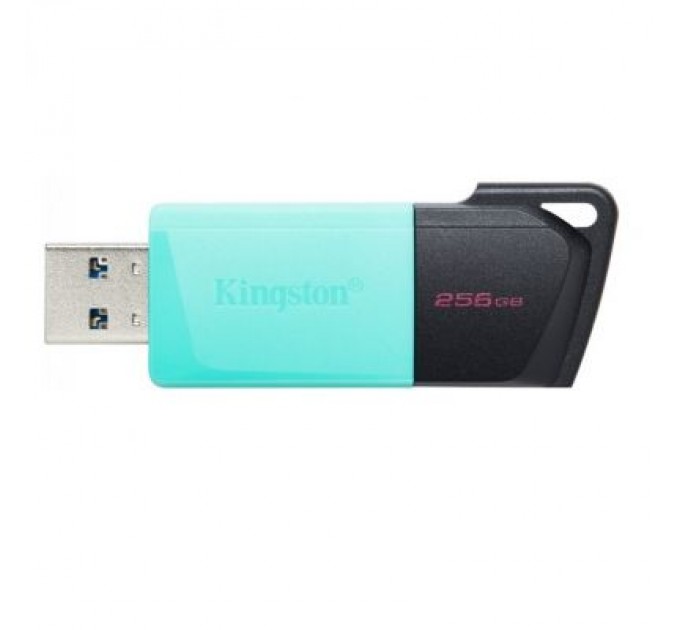 Kingston USB флеш накопичувач Kingston 256GB DataTraveler Exodia M USB 3.2 (DTXM/256GB)