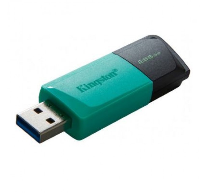 Kingston USB флеш накопичувач Kingston 256GB DataTraveler Exodia M USB 3.2 (DTXM/256GB)