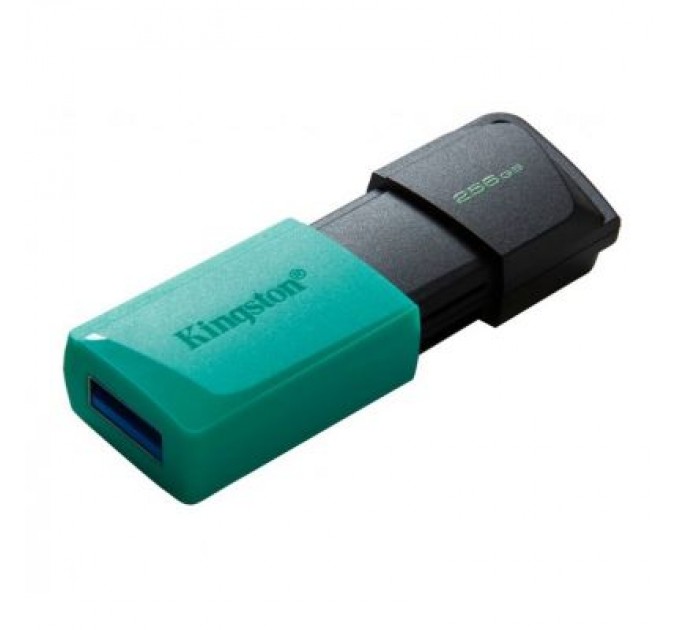 Kingston USB флеш накопичувач Kingston 256GB DataTraveler Exodia M USB 3.2 (DTXM/256GB)