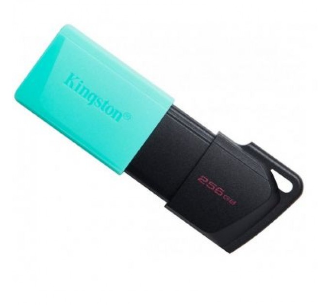Kingston USB флеш накопичувач Kingston 256GB DataTraveler Exodia M USB 3.2 (DTXM/256GB)