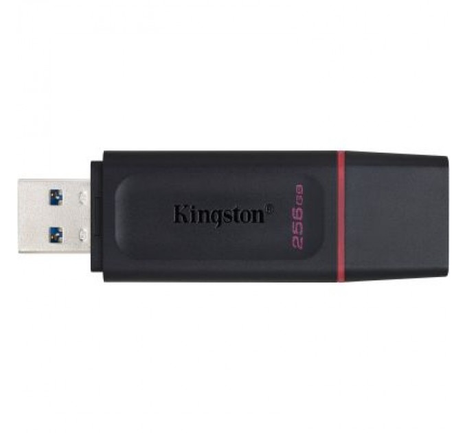 Kingston USB флеш накопичувач Kingston 256GB DataTraveler Exodia Black/Pink USB 3.2 (DTX/256GB)