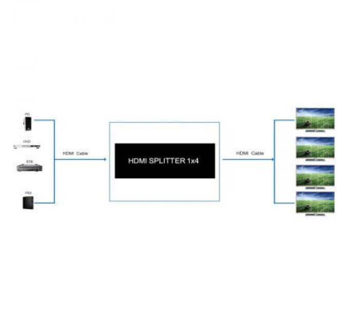 PowerPlant Розгалужувач PowerPlant HDMI 1x4 V2.0 (CA912483)