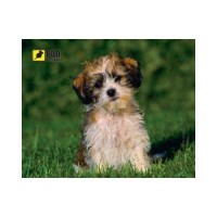 Килимок для мишки Pod Mishkou Кудлатий песик