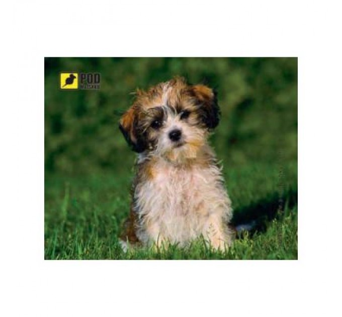 Pod Mishkou Килимок для мишки Pod Mishkou Кудлатий песик