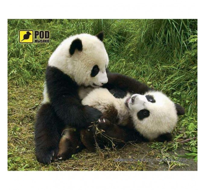Pod Mishkou Килимок для мишки Pod Mishkou Панди