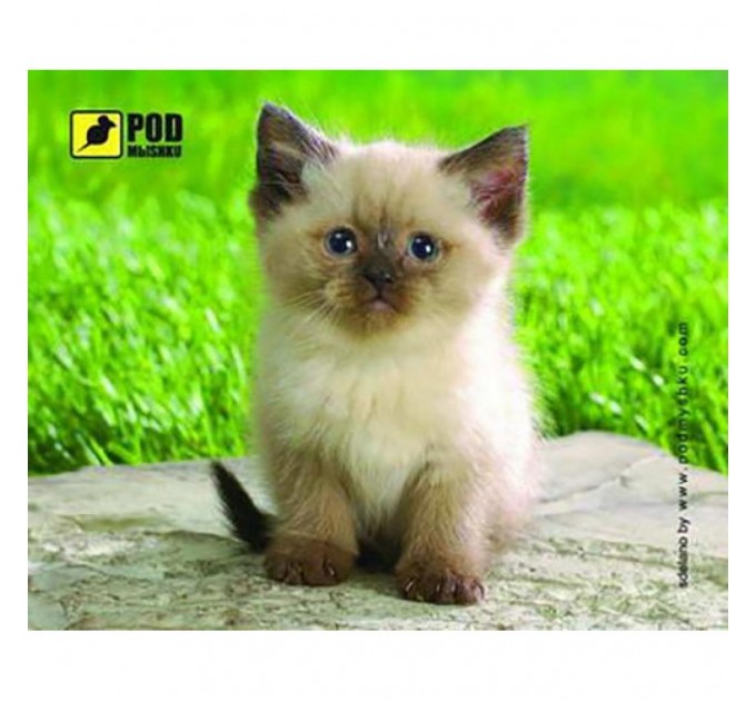 Pod Mishkou Килимок для мишки Pod Mishkou Сіамський котик