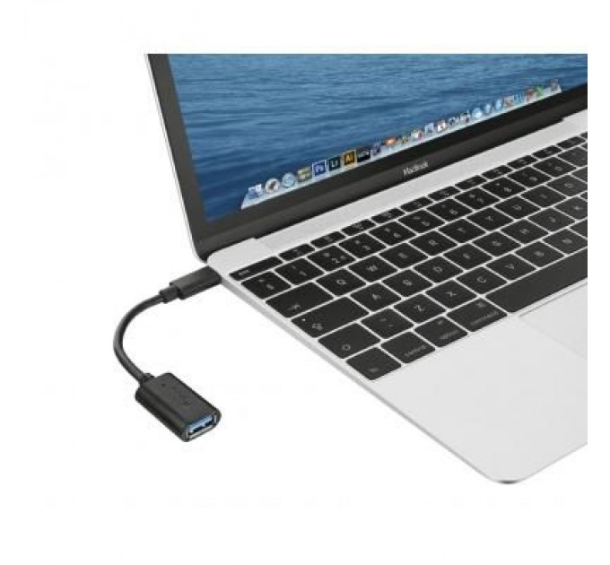 Trust Перехідник USB-C to USB3.0 Trust (20967_TRUST)