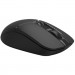 A4Tech Мишка A4Tech FB12S Wireless/Bluetooth Black (FB12S Black)