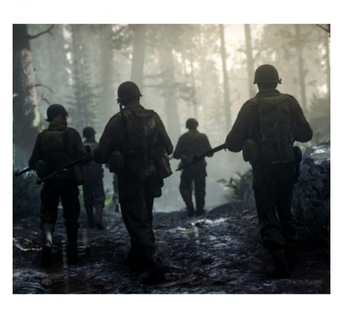 Sony Гра Sony Call of Duty WWII [PS4] (1101406)