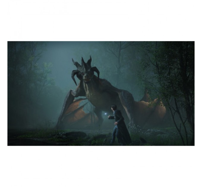 Sony Гра Sony Hogwarts Legacy, BD диск (5051895413425)
