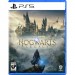 Sony Гра Sony Hogwarts Legacy, BD диск (5051895413425)