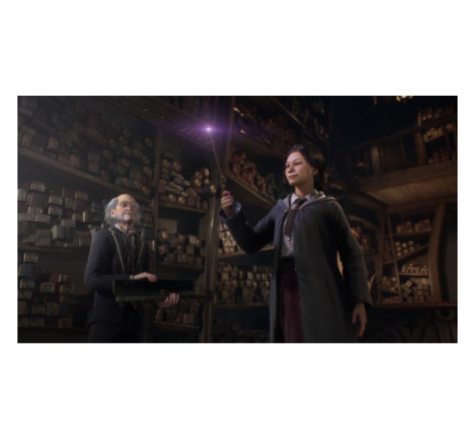 Sony Гра Sony Hogwarts Legacy, BD диск (5051895413425)