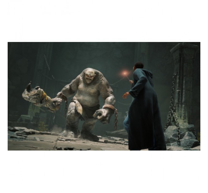 Sony Гра Sony Hogwarts Legacy, BD диск (5051895413425)