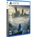 Sony Гра Sony Hogwarts Legacy, BD диск (5051895413425)