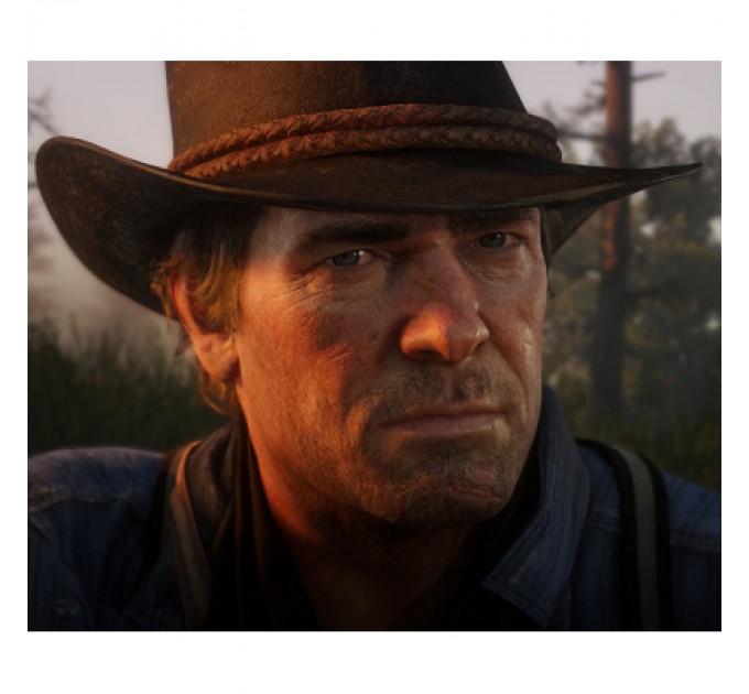 Sony Гра Sony Red Dead Redemption 2, BD диск (5026555423052)