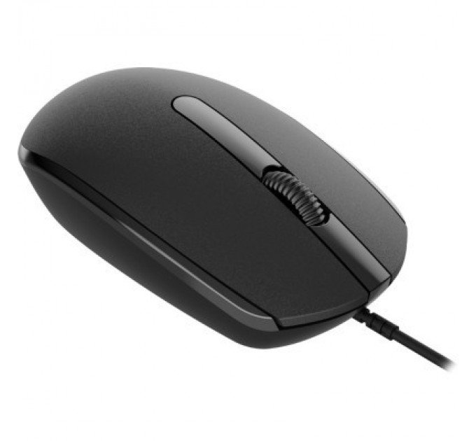 Canyon Мишка Canyon M-10 USB Black (CNE-CMS10B)