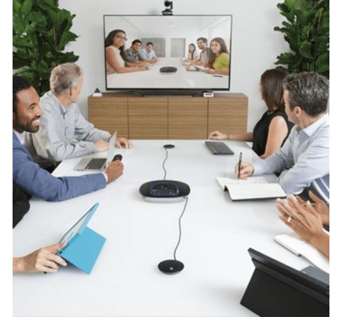 Logitech Мікрофон Logitech для Logitech Group (989-000171)