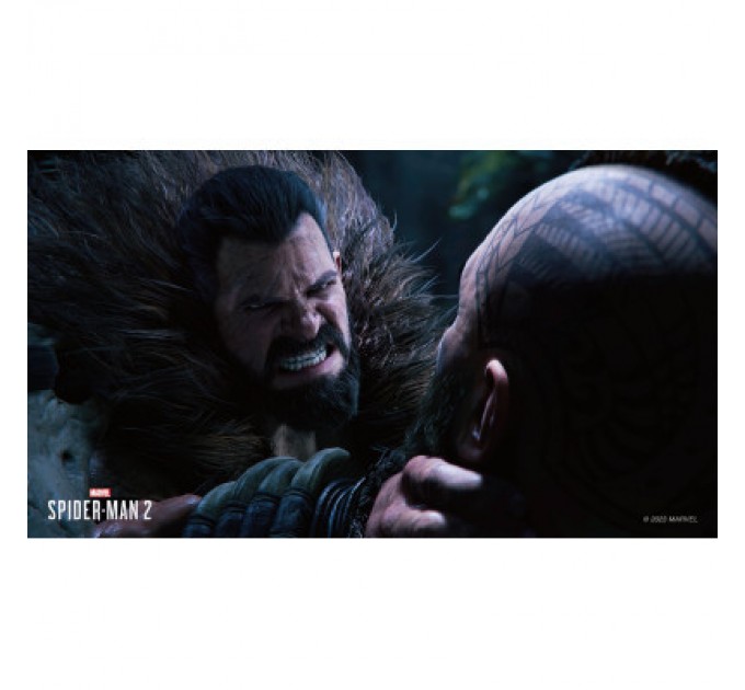 Sony Гра Sony Marvel Spider-Man 2, BD диск (1000039312)