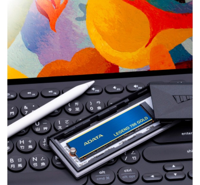 ADATA Накопичувач SSD M.2 2280 2TB ADATA (SLEG-700G-2TCS-S48)
