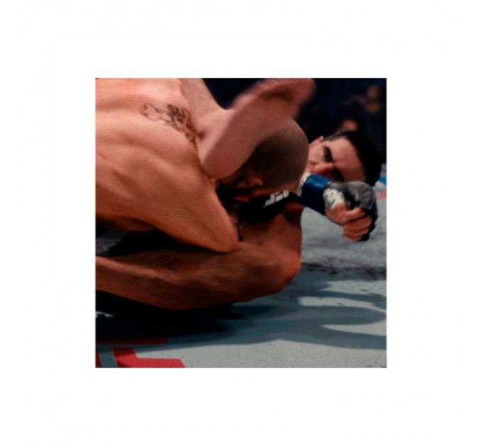 Sony Гра Sony EA Sports UFC 5 , BD диск (5908305248255)