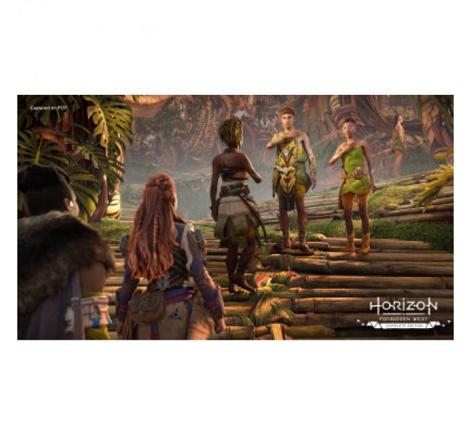 Sony Гра Sony Horizon Forbidden West Complete Edition, BD диск (1000040790)