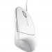 Trust Мишка Trust Verto Ergonomic USB White (25133)