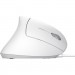 Trust Мишка Trust Verto Ergonomic USB White (25133)