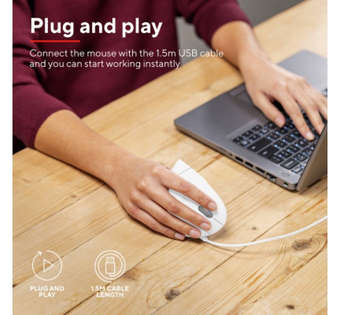 Trust Мишка Trust Verto Ergonomic USB White (25133)