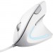 Trust Мишка Trust Verto Ergonomic USB White (25133)