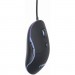 Gembird Мишка Gembird MUS-UL-02 USB Black (MUS-UL-02)