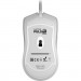 Hator Мишка Hator Pulsar 2 USB White (HTM-511)