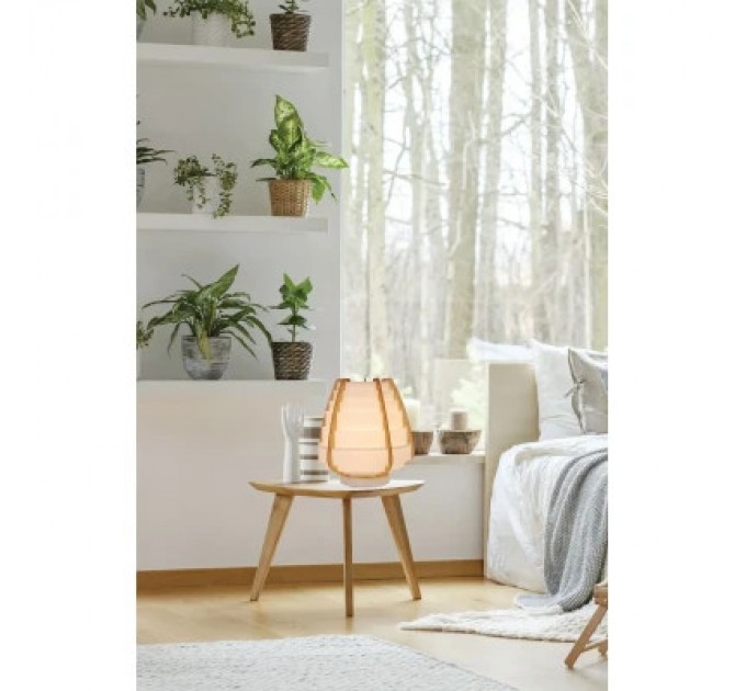 Candellux Настільна лампа Candellux NAGOJA (50501039)