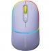 Canyon Мишка Canyon MW-22 Dual Band RGB Wireless Mountain Lavender (CNS-CMSW22ML)