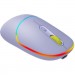 Canyon Мишка Canyon MW-22 Dual Band RGB Wireless Mountain Lavender (CNS-CMSW22ML)