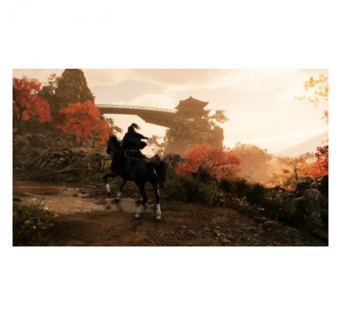 Sony Гра Sony Rise of the Ronin, BD диск [PS5] (1000042897)